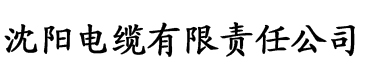 中文字幕无码a片久久东京热喷水电缆厂logo